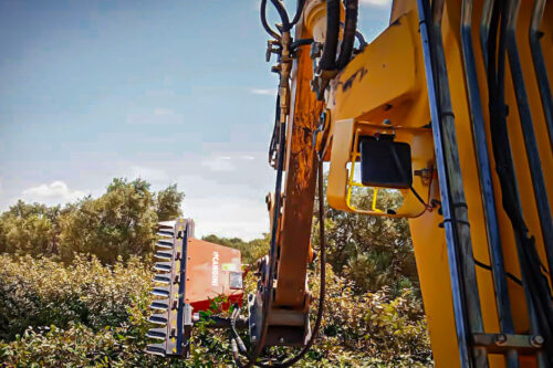 Excavator Tree Trimmer Bar - Cangini Benne for Excavators Up To 14 Tons - Image 4